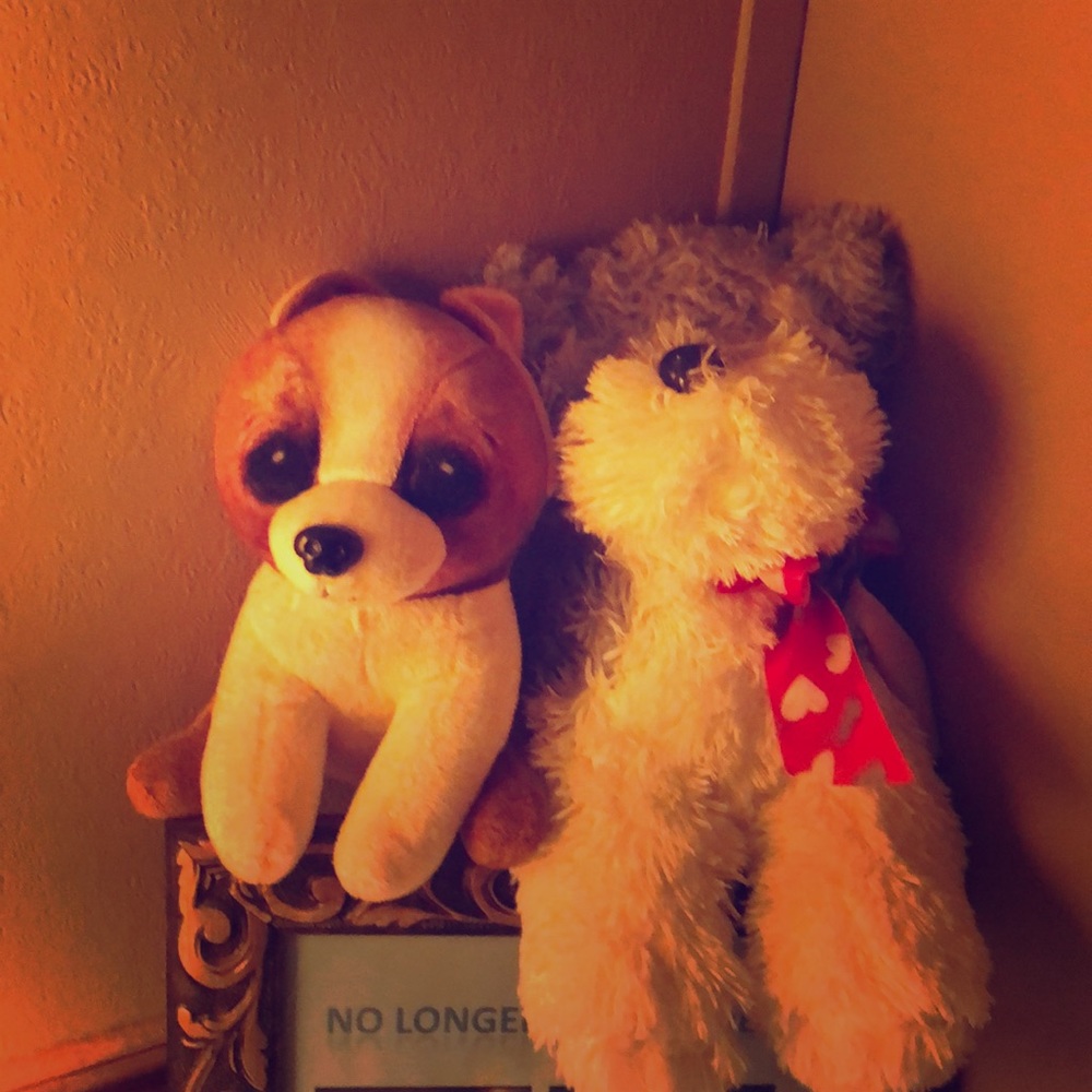 Just letting y’all know I’m open to offers 😊